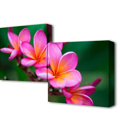 Модульная картина Нежность цветения Toplight 50x100см TL-M2010