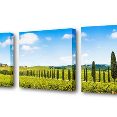 Модульная картина Великая Тоскана Toplight 150х50см TL-M2001